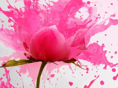 Qué es ikigai y cómo te puede ayudar en tu oposición