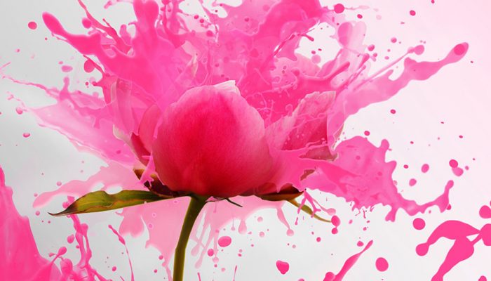 Qué es ikigai y cómo te puede ayudar en tu oposición