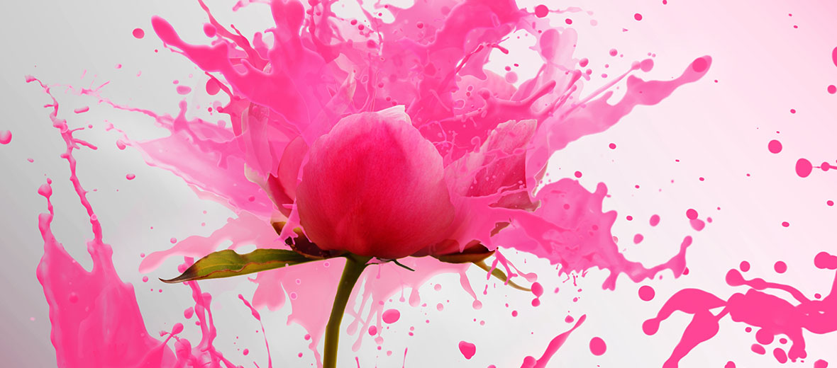 Qué es ikigai y cómo te puede ayudar en tu oposición