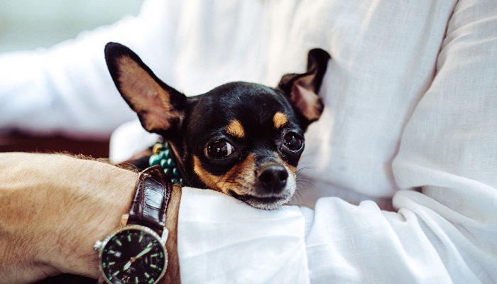 Time blocking o cómo mejorar tu productividad