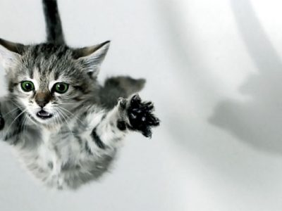 La prueba práctica en las oposiciones de profesor