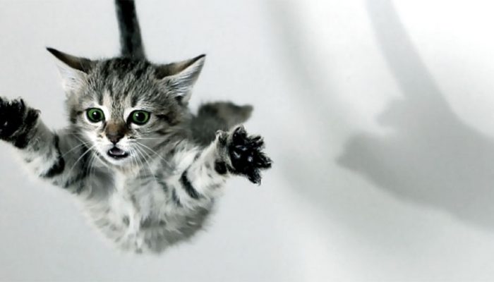 La prueba práctica en las oposiciones de profesor